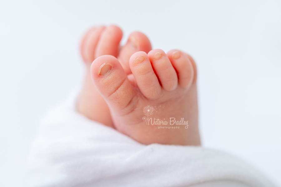 Pure Newborn Photo Shoot