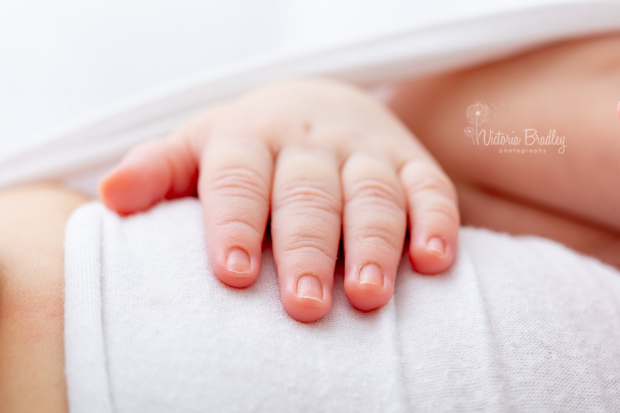 Pure Newborn Photo Shoot